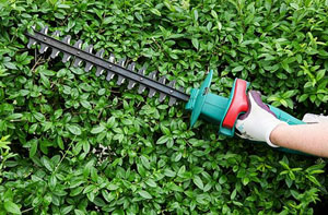 Professional Hedge Cutting Gloucester GL1