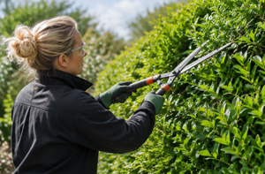 Professional Hedge Cutting Corringham (SS17)