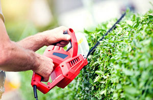 Professional Hedge Cutting Ramsgate Kent CT11