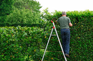 Hedge Trimming Cheddleton Staffordshire